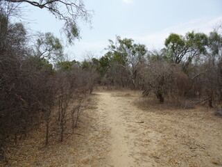 [Madagascar] Unpaved road in Andonbiry village