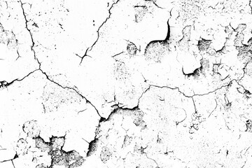Peel paint crack. Dry earth cracked overlay. White paint black cracks background. Scratched lines texture. White and black distressed grunge wall pattern. Weathered rustic surface. Dry paint overlay.