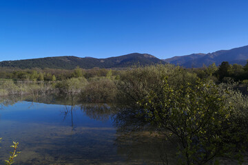 Fototapeta na wymiar krajobraz jezioro woda niebo niebieskie natura widok 