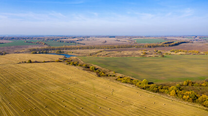 Rural landscape. Aerial view of farmland on sunny autumn day. Vladimir Oblast, Russia. © Kirill