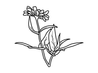 Hand drawing and sketch flower with line art illustration.
