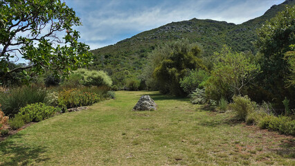 There is a picturesque stone on the green lawn in the park. Around - tropical vegetation. Mountain range against the blue sky. Summer sunny day. Cape Town. South Africa