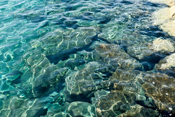 Sea water and rocks underwater  