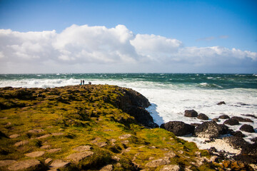 Spring landscape in Giant s Causeway, northern Ireland
