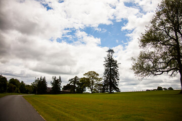 Spring landscape in the lands of Ireland