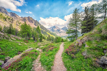 Obraz premium Mercantour National Park in France