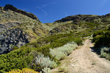 Veduta di Capo Negru