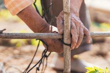 detail view of man's hands working in the field. Selective focus.