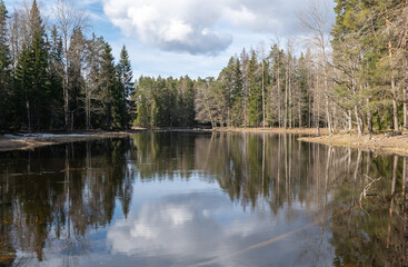 Fototapeta na wymiar Calm lake reflection in Farnebofjarden national park in north of Sweden.