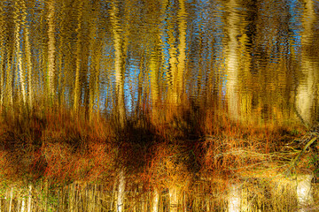 Spiegelung von Bäumen im See im Winter abstrakt unscharf