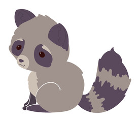 Raccoon