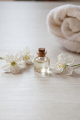 Obraz na płótnie Canvas apricot or cherry essential oil or perfume glass bottle with fresh flowers on wooden background, spa