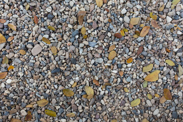 Pebbles and leaves texture background