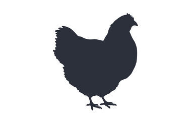 Hen, chicken. Black white silhouette chicken, hen