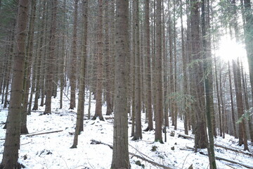 Fototapeta premium Winter mountains