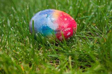 Isolated, Easter, colored egg with a gradient in the green grass.