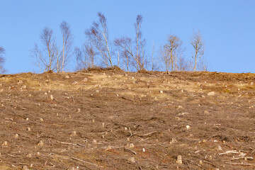 Deforestation of trees on the hill