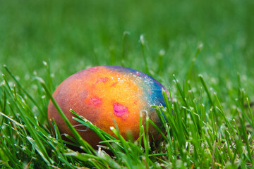 Isolated, Easter, colored egg with a gradient in the green grass.