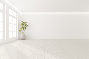3d render of modern empty room with vase of plant on wooden floor.