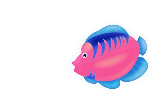 Pink tropical fish with blue stripes