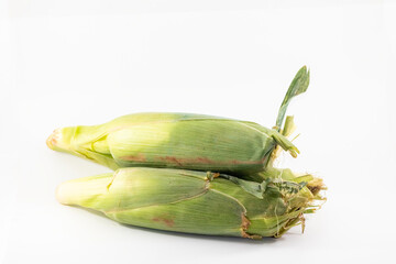 a corn isolated on white background