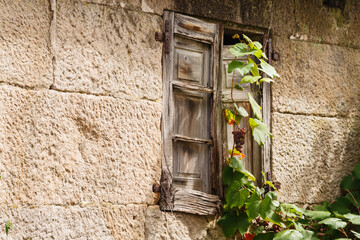 Vieja ventana en un muro de piedras con rama de vid y uvas en un día soleado en verano. Old window...