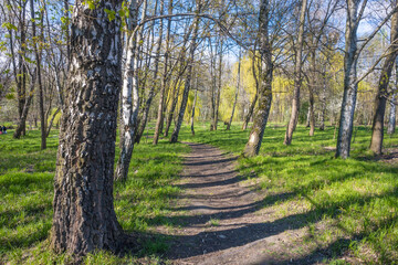 Lviv city spark in the early spring season