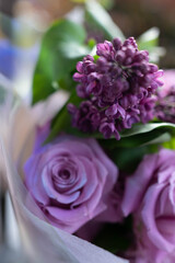 purple flowers
