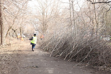Pruning tree branches
