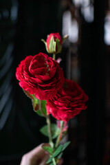 artificial flowers, artificial rose, cosmos, hydrangea, delphinium, carnation, bush rose