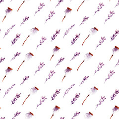 herbs watercolor seamless pattern. Hand drawn lavender, poppy pods, meadow herbs
