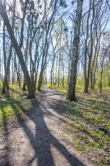Fototapeta premium Lviv city spark in the early spring season