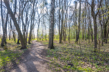 Obraz premium Lviv city spark in the early spring season