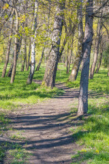 Fototapeta premium Lviv city spark in the early spring season