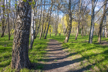 Lviv city spark in the early spring season