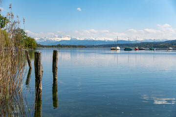 Greifensee mit Alpenpanorama
