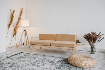 
the interior of the apartment is in a Scandinavian style in bright colors with a sofa, lamp and carpet