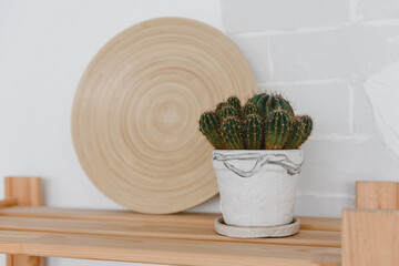 a potted cactus and a stylish interior plate on a wooden shelf against a white brick wall