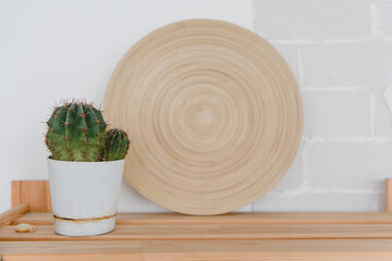 round wooden plate and cactus in a white pot on the shelf