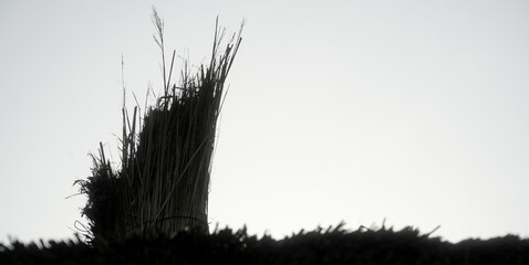 shading on a terrace on the beach in Vama Veche, Romania.
