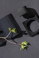 Black abstract geometric shapes with young spring tree branch composition. Dark modern concept background. 
