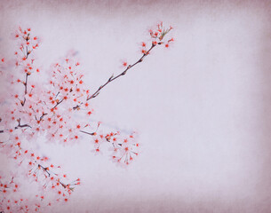 cherry blossoms on tree with Old antique vintage paper background