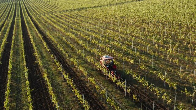 red tractor works at the vineyards