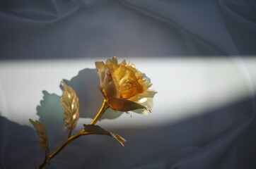 金運が上がる輝いた金の薔薇