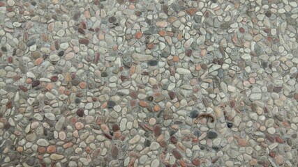 close up of a pile of leaves