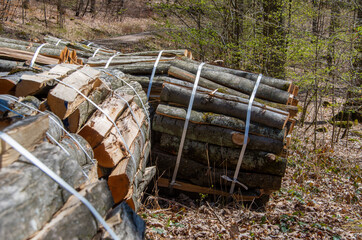 Firewood lies completely split and ready for collection in bundles to 1 ster in the forest © FaRifo