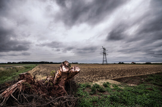 field with power lines