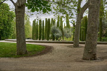 Fototapeta na wymiar El Retiro park, Madrid, Spain