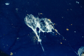 Vogelkot auf enem Auto © Eberhard Spaeth