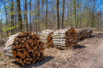 Firewood lies completely split and ready for collection in bundles to 1 ster in the forest © FaRifo